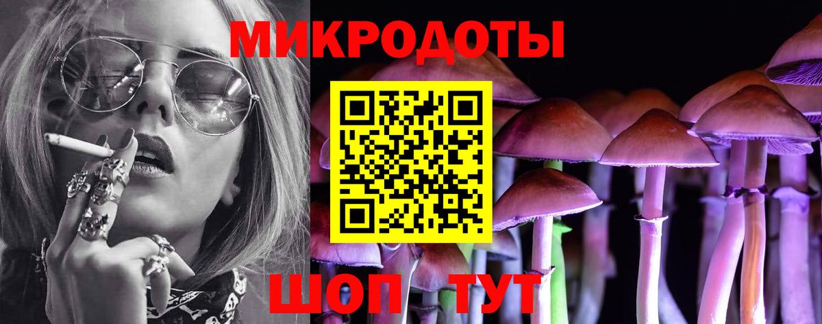 Астрахань  Галлюциногенные грибы Psilocybine cubensis  Вход с VPN 