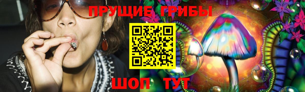 Псилоцибиновые грибы прущие грибы Астрахань